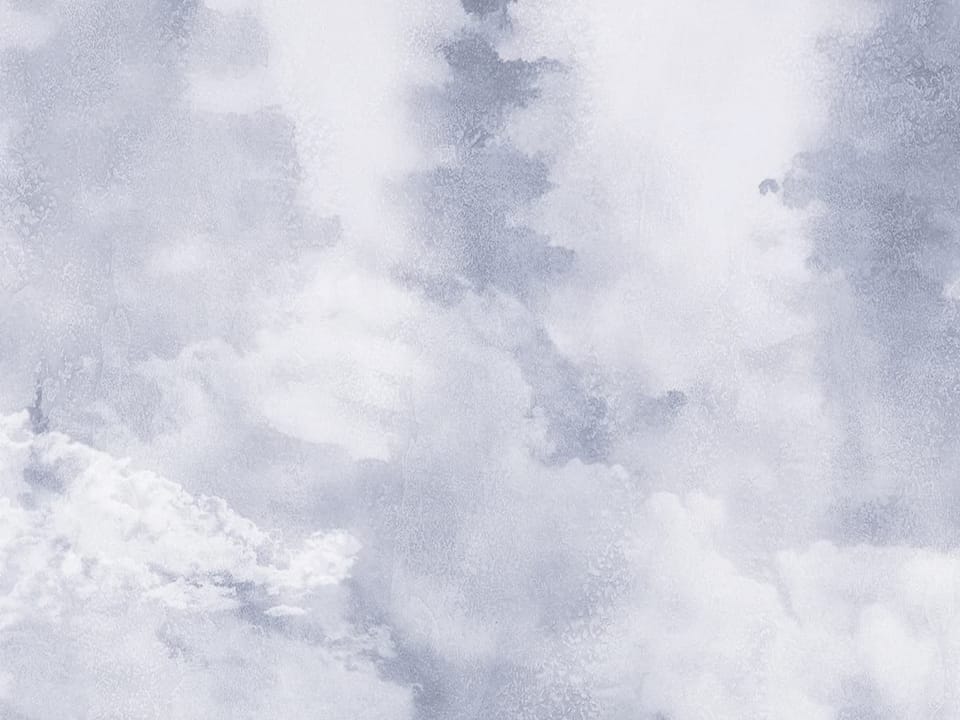 Fototapeta Las iglasty w gęstej mgle fragment #1