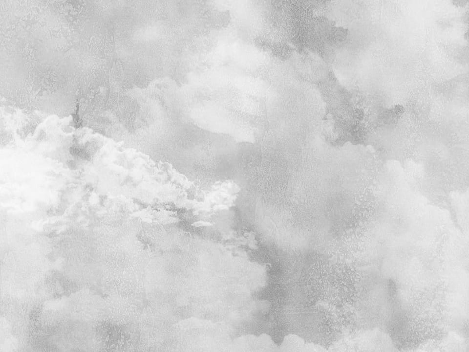 Fototapeta Mglisty las z drzewami iglastymi fragment #1