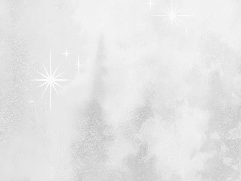 Fototapeta Mglisty las z drzewami iglastymi fragment #2