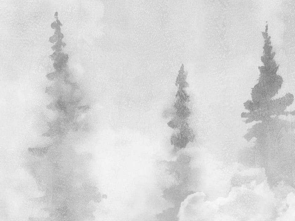 Fototapeta Mglisty las z drzewami iglastymi fragment #3