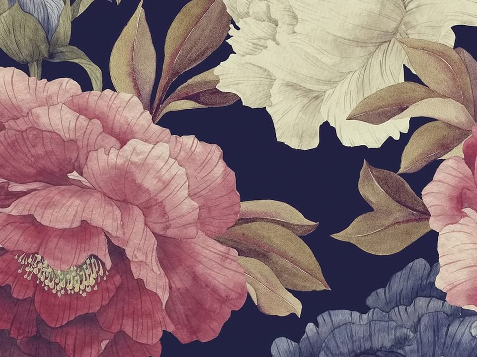 Fototapeta Kwiaty piwonii na ciemnym tle fragment #1