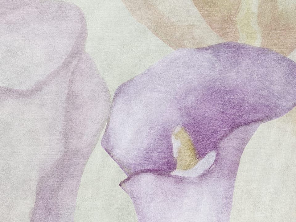 Fototapeta Kwiaty kalii w pastelowych barwach fragment #1