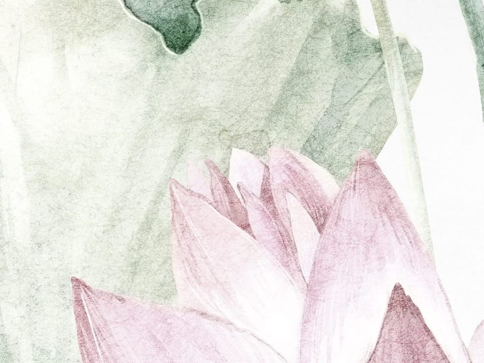 Fototapeta Lilie i kwiaty lotosu na wodzie fragment #1