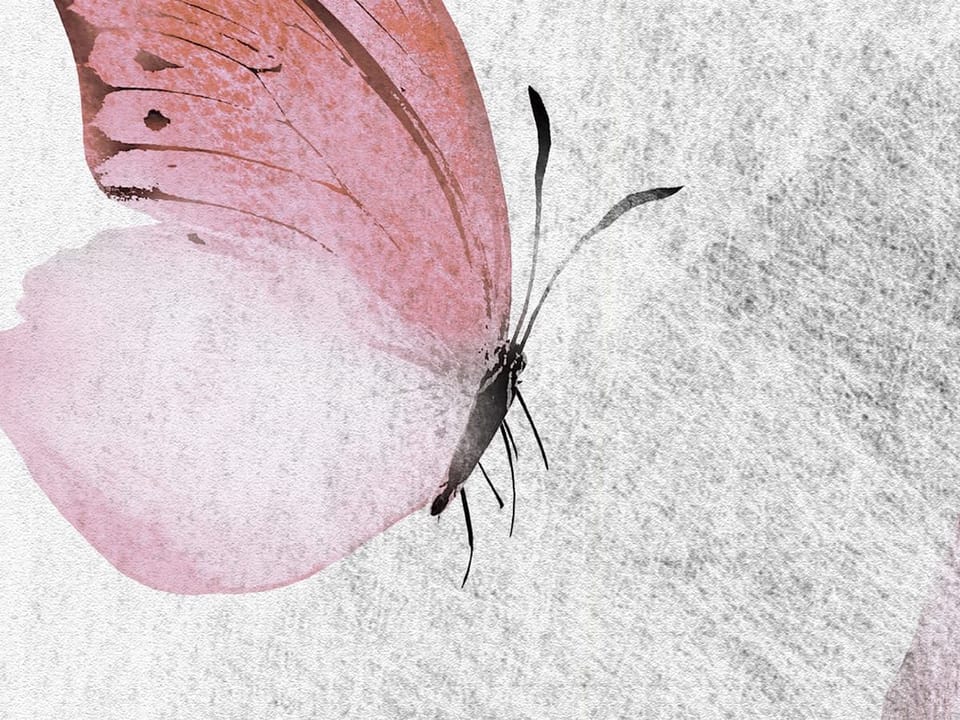 Fototapeta Różowe pióra na jasnym tle fragment #1