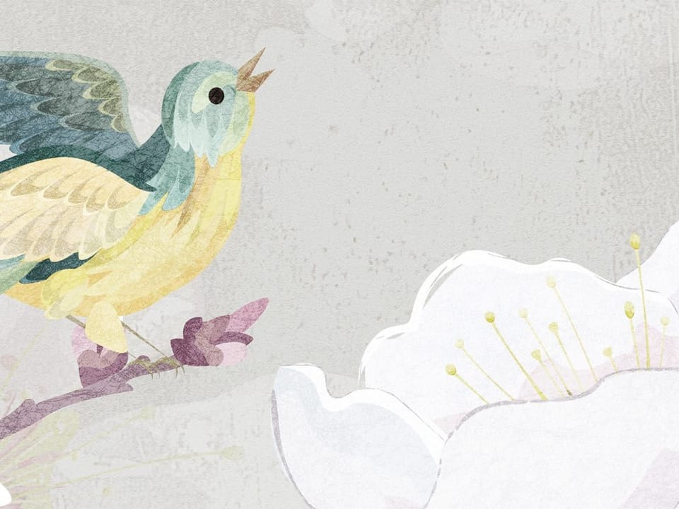 Fototapeta Gałęzie Sakury z Białymi Kwiatami fragment #1