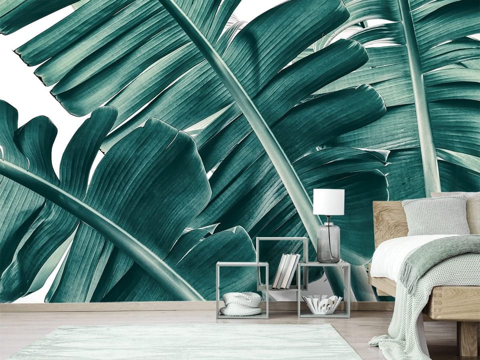 Fototapeta Zielone Liście Bananowca we wnętrzu sypialni