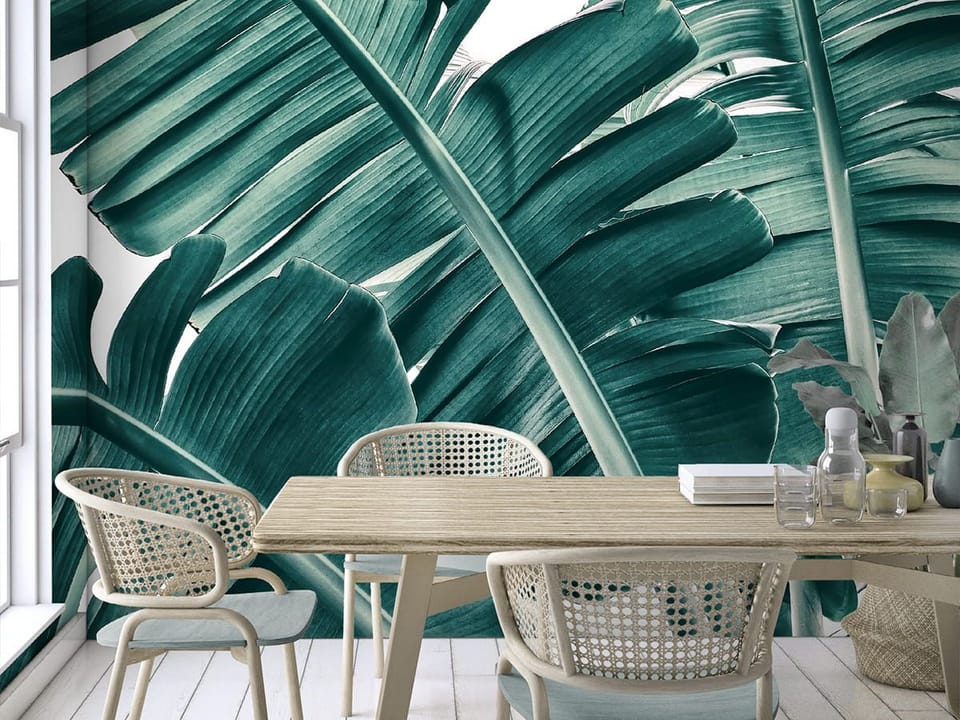 Fototapeta Zielone Liście Bananowca we wnętrzu kuchni