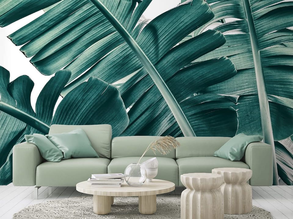 Fototapeta Zielone Liście Bananowca we wnętrzu salonu