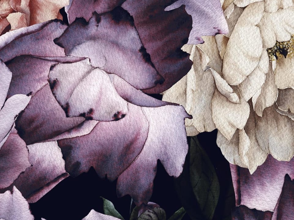 Fototapeta Kwiaty Piwonii w Różu i Fiolecie fragment #1