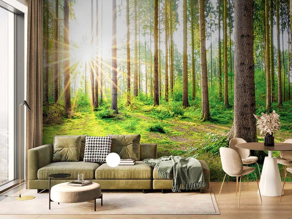Fototapeta Las o świcie z wysokimi drzewami we wnętrzu salonu