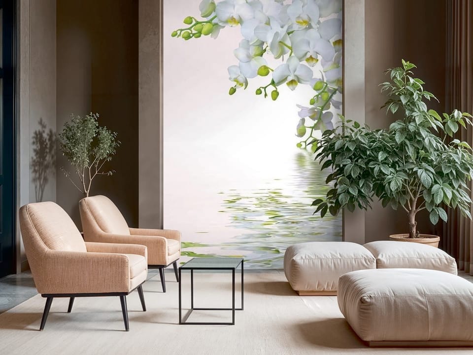 Fototapeta z białą orchideą i zielonymi pąkami nad wodą - nowoczesna ściana w salonie