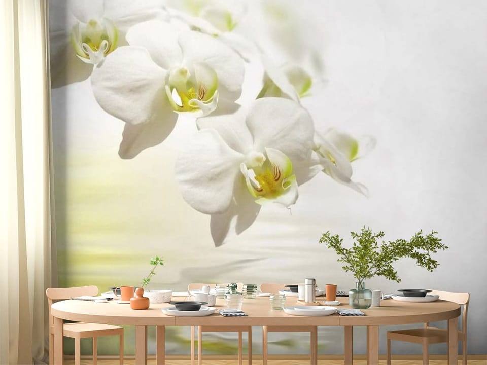 Fototapeta z białymi orchideami odbijającymi się w wodzie - pomysłowa aranżacja strefy jadalnianej w kuchni