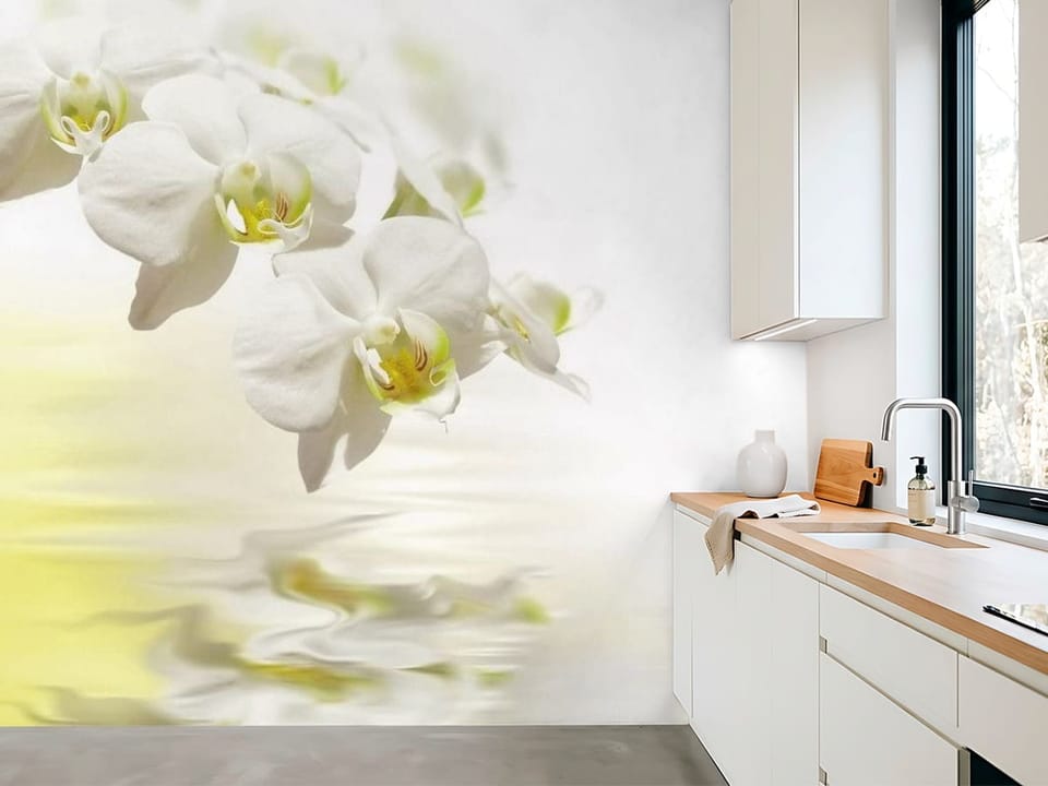 Fototapeta z białymi orchideami odbijającymi się w wodzie - aranżacja nasłonecznionej kuchni
