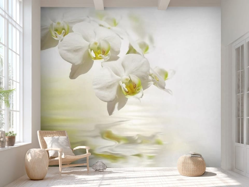 Fototapeta z białymi orchideami odbijającymi się w wodzie - aranżacja minimalistycznego przedpokoju