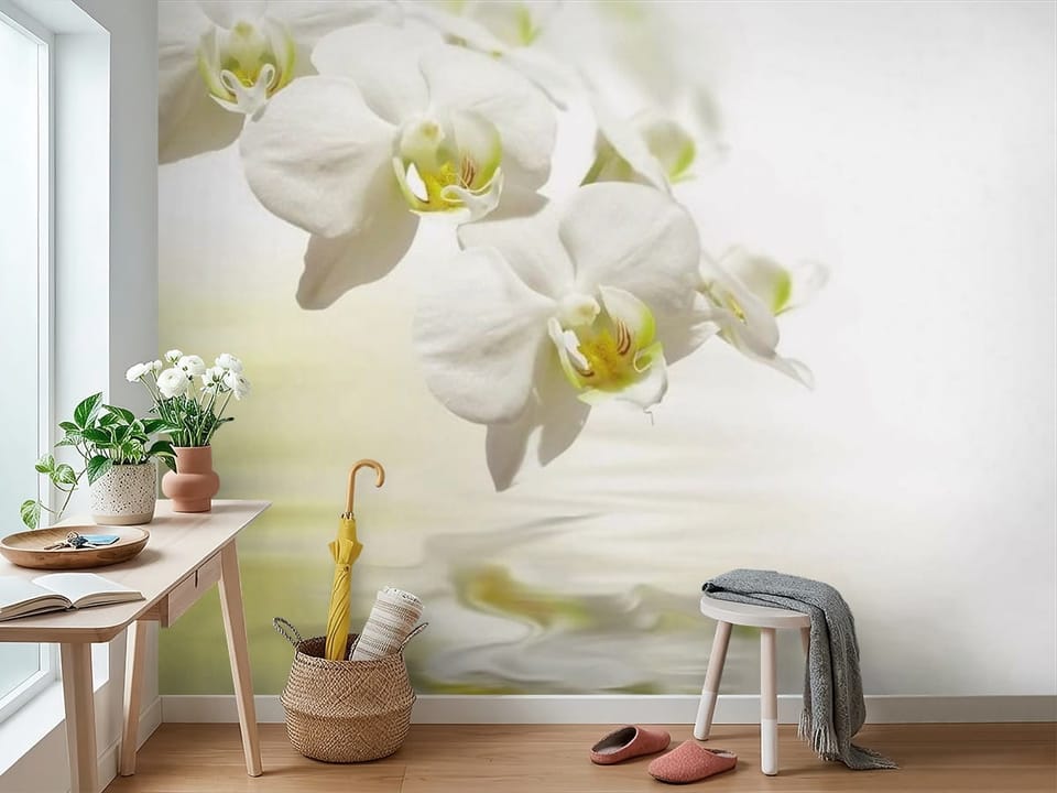 Fototapeta z białymi orchideami odbijającymi się w wodzie - widok na ścianę w przedpokoju