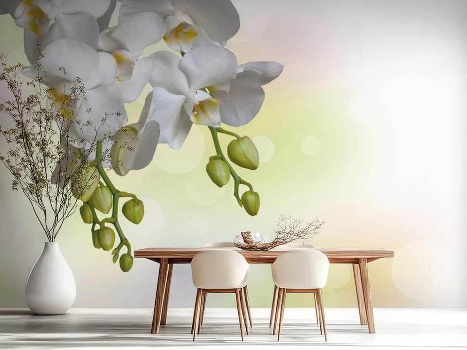 Fototapeta z białymi kwiatami orchidei na gałązce i zielonymi pąkami - aranżacja strefy jadalnianej w kuchni