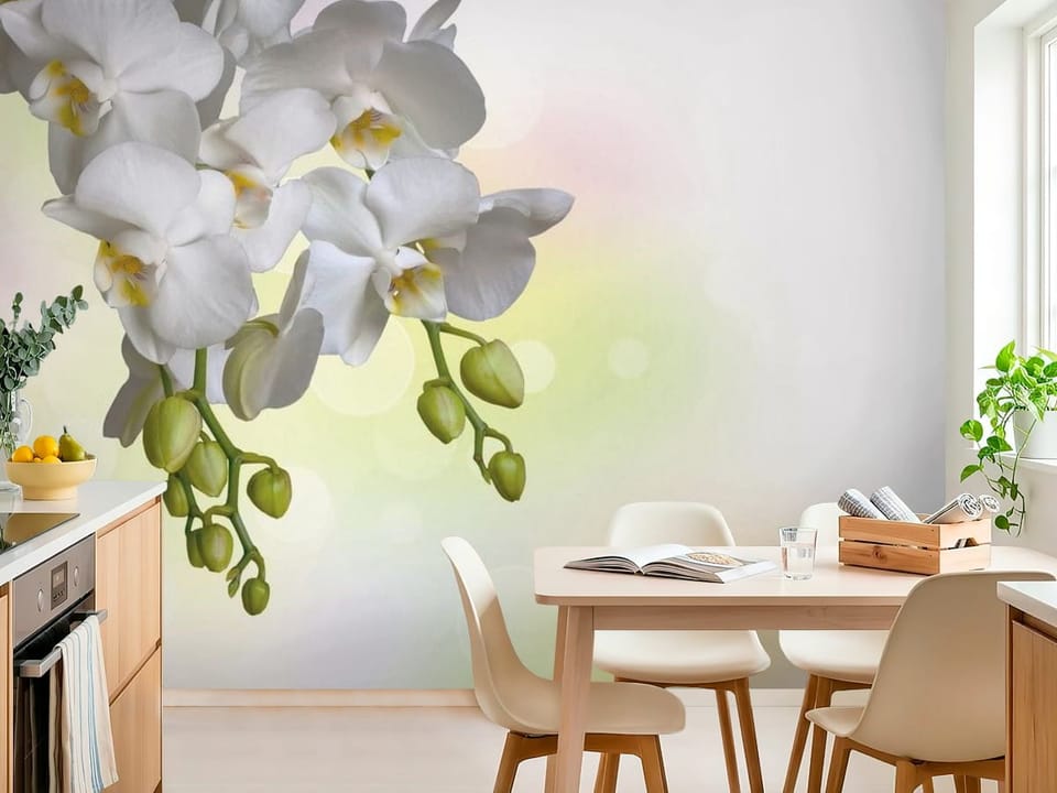Fototapeta z białymi kwiatami orchidei na gałązce i zielonymi pąkami - widok na ścianę w jasnej kuchni
