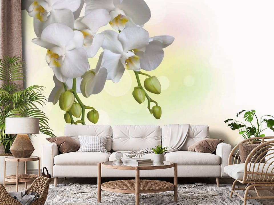 Fototapeta z białymi kwiatami orchidei na gałązce i zielonymi pąkami - aranżacja ściany akcentowej w salonie