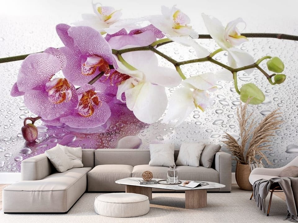 Fototapeta z fioletowymi i białymi orchideami na mokrej powierzchni - aranżacja w przytulnym salonie