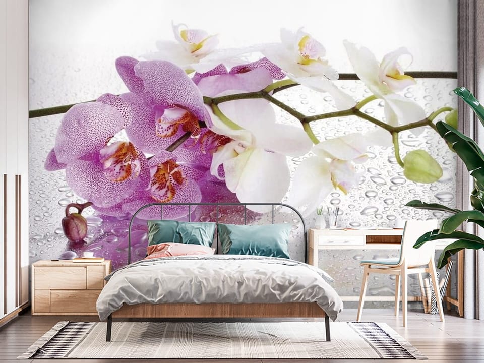 Fototapeta z fioletowymi i białymi orchideami na mokrej powierzchni - przytulna sypialnia ze ścianą akcentową