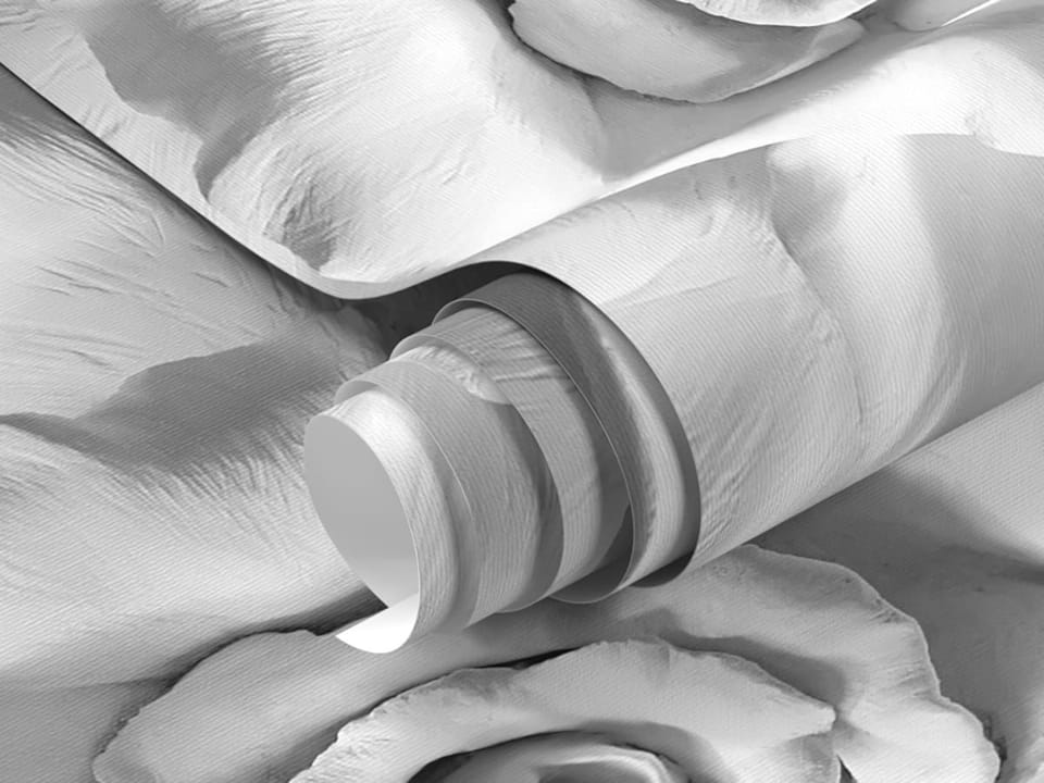 Fototapeta Biały kwiat z bliska fragment #1