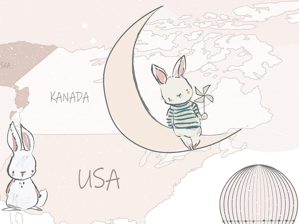 Fototapeta Mapa świata z balonami fragment #2