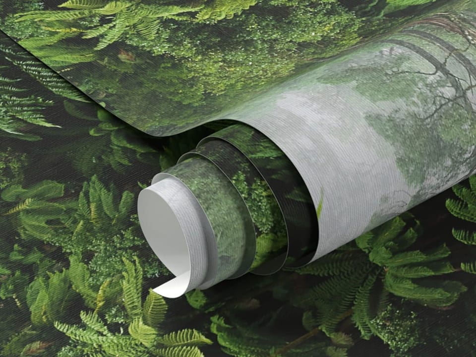 Fototapeta Leśne gęstwiny tropikalnego lasu fragment #1