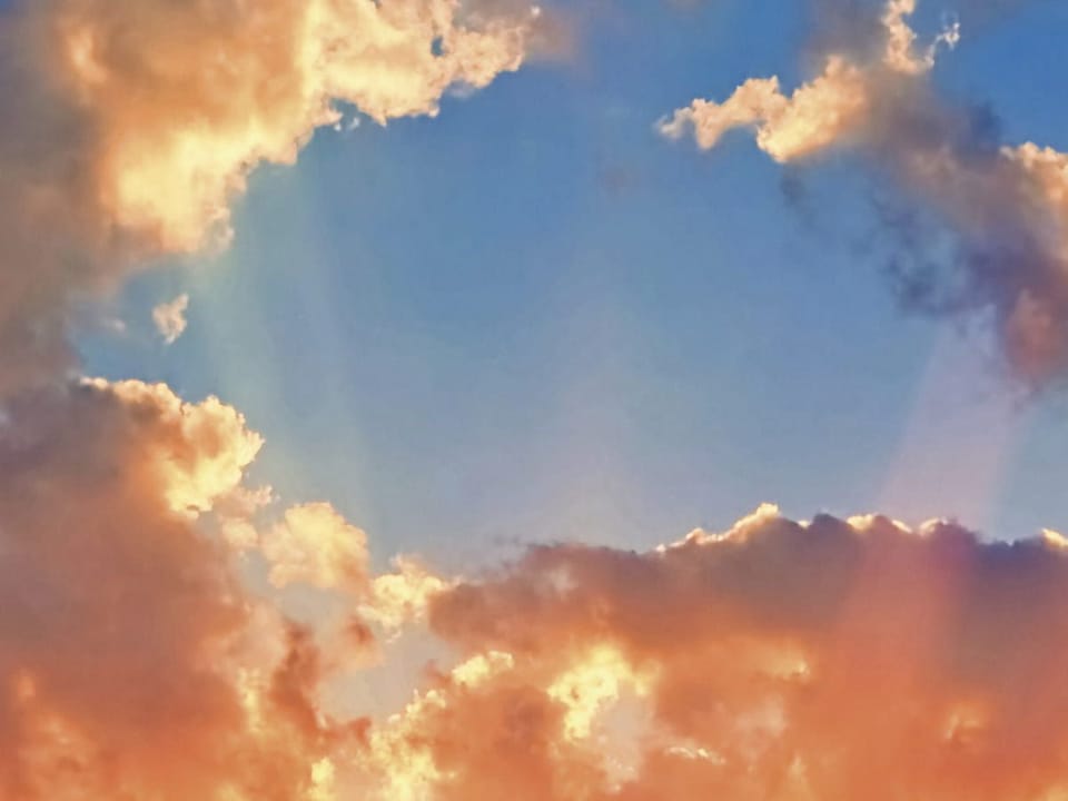 Fototapeta Zachód słońca nad polem pszenicy fragment #2