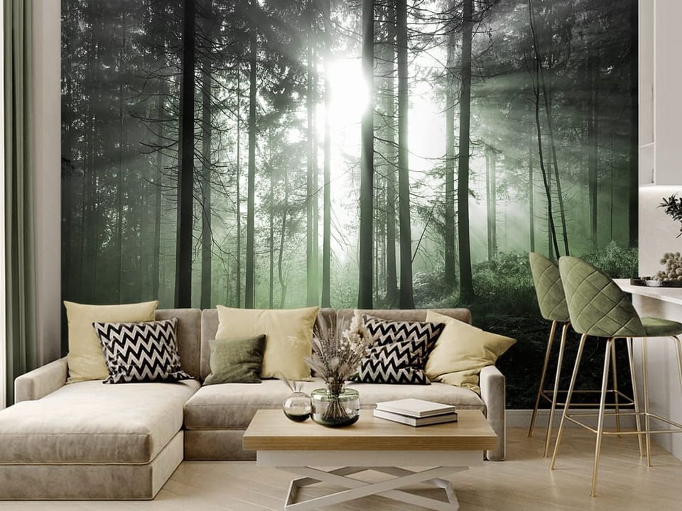 Fototapeta Promienie słońca w gęstwinach leśnych we wnętrzu kuchni