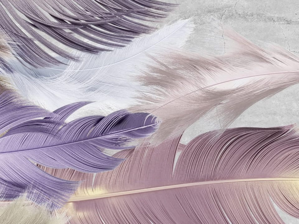 Fototapeta Kolorowe pióra na szarym tle fragment #1