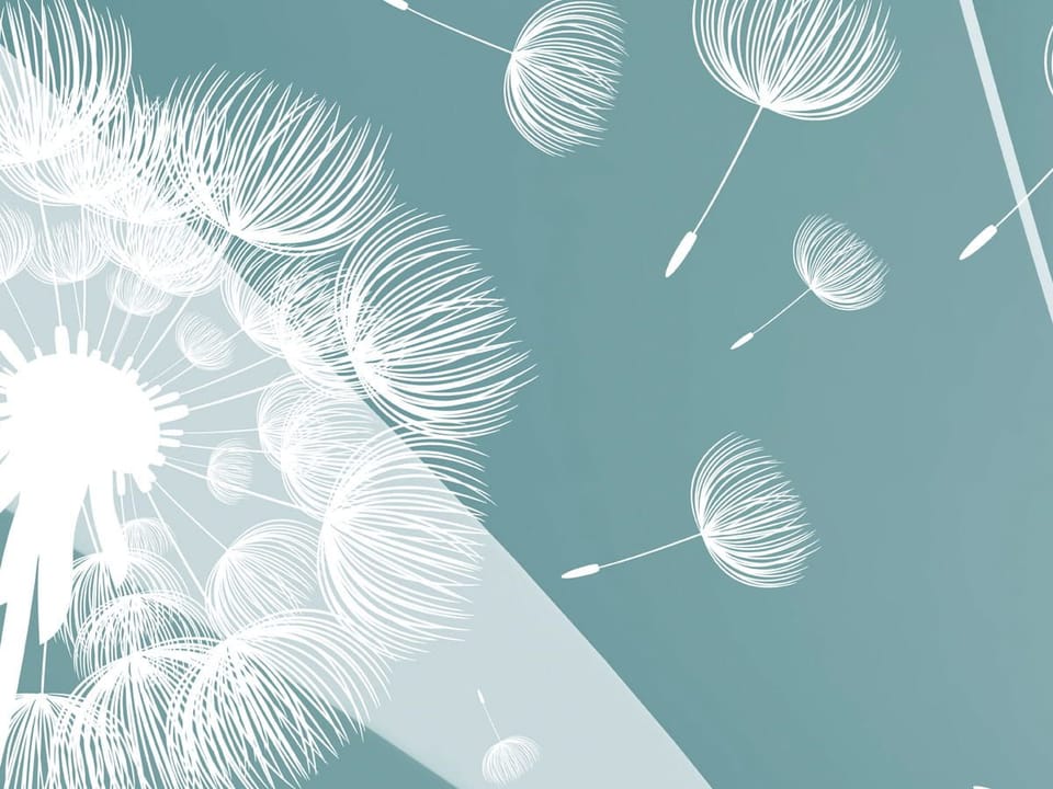 Fototapeta Białe dmuchawce i fale 3D fragment #1