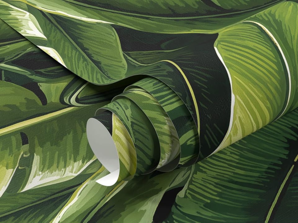 Fototapeta Zielone liście bananowca fragment #1