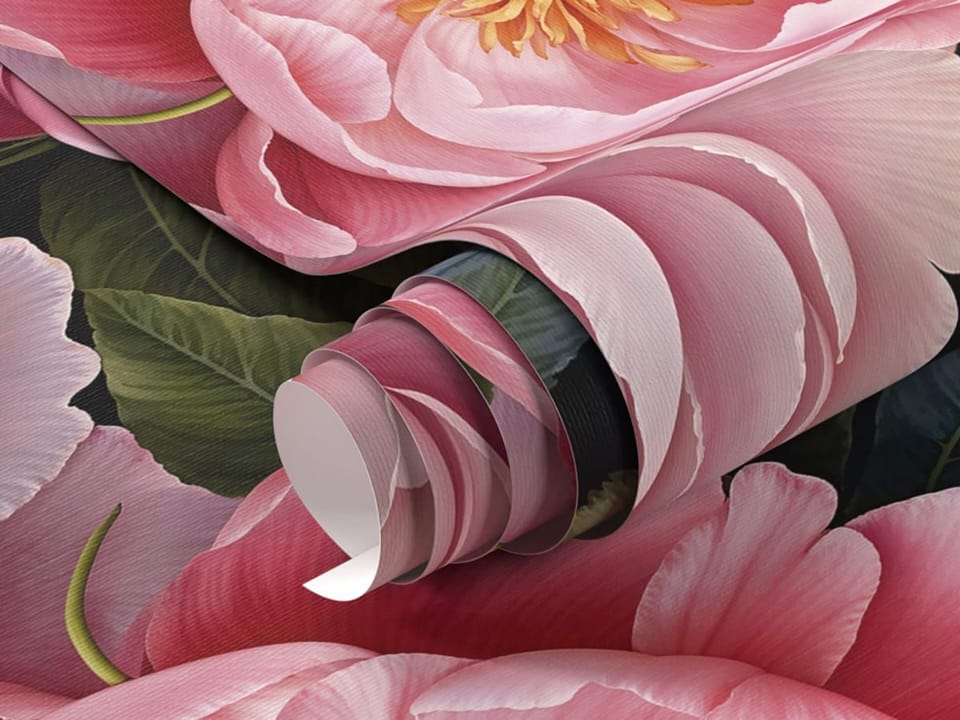 Fototapeta Różowe piwonie na czarnym tle fragment #1