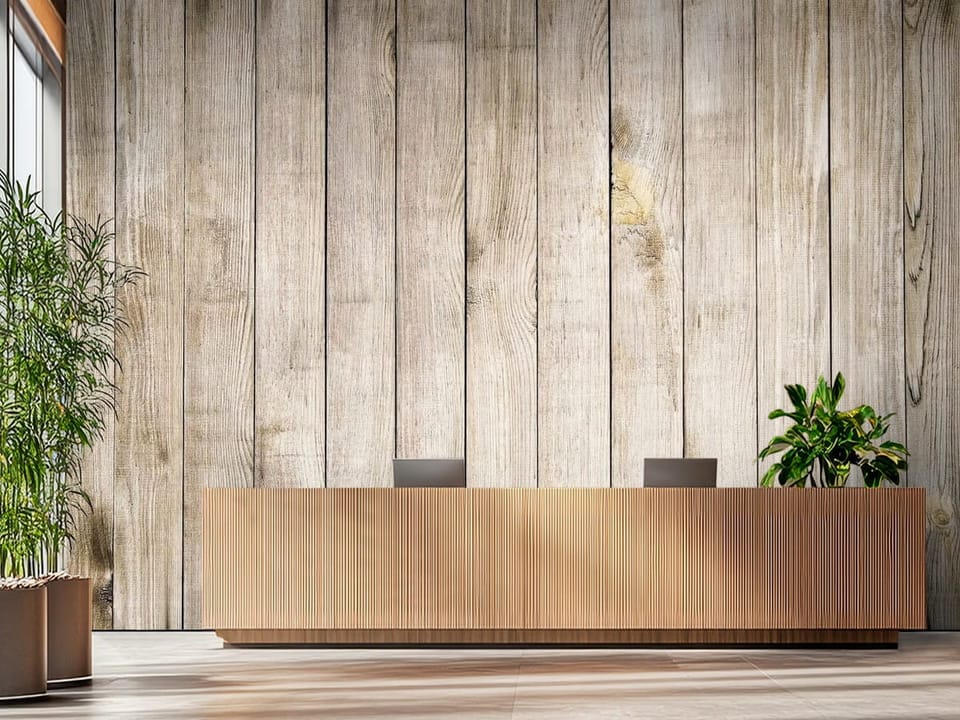 Fototapeta z jasnymi drewnianymi deskami i widocznymi słojami - piękna aranżacja za ladą recepcyjną w biurze
