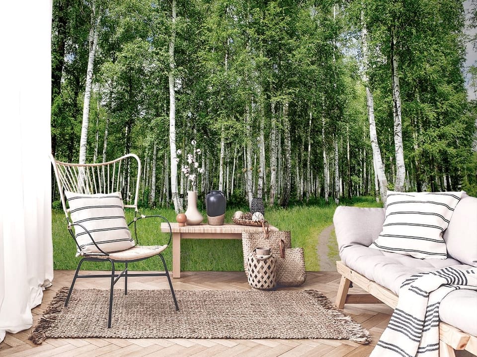 Fototapeta Las brzozowy z zieloną trawą we wnętrzu salonu