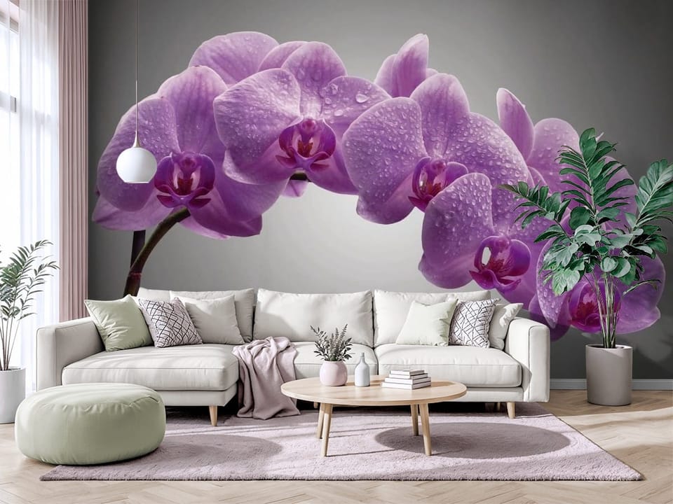 Fototapeta z fioletowymi orchideami pokrytymi kroplami wody na szarym tle - salon w jasnych barwach z modnym akcentem