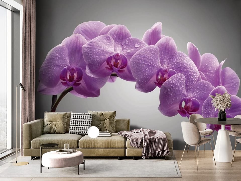 Fototapeta z fioletowymi orchideami pokrytymi kroplami wody na szarym tle - ściana akcentowa w salonie z dużym oknem