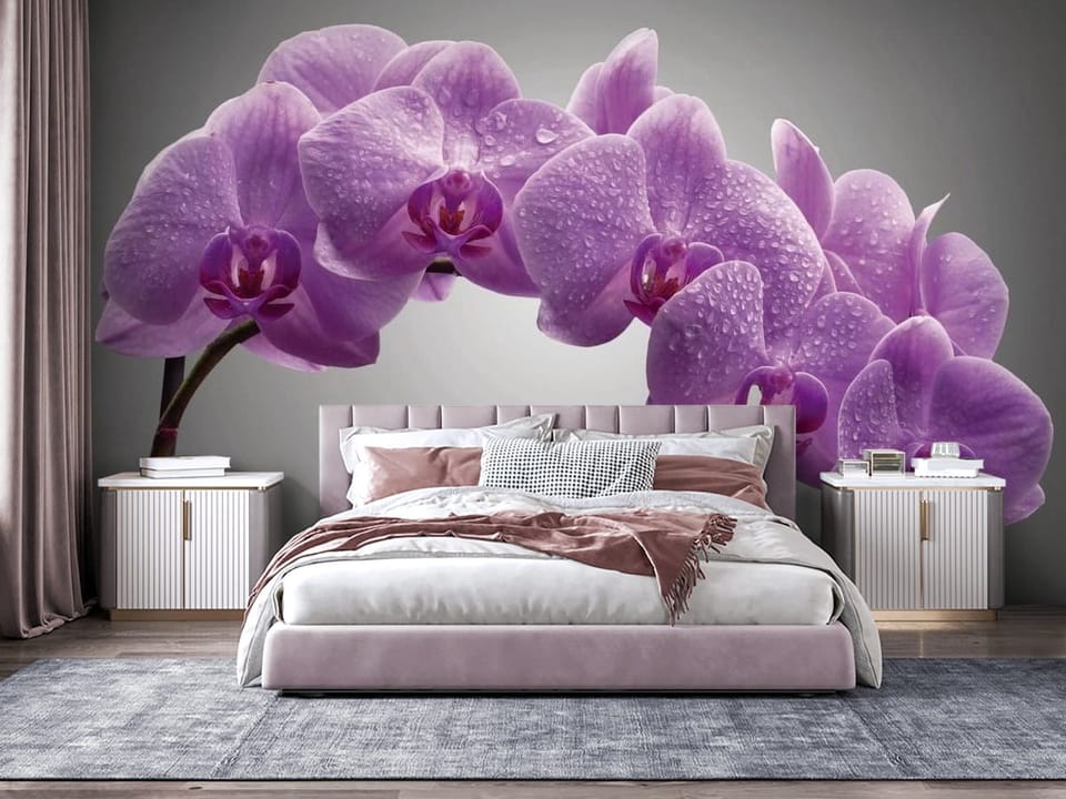 Fototapeta z fioletowymi orchideami pokrytymi kroplami wody na szarym tle - nowoczesna aranżacja za łóżkiem w sypialni