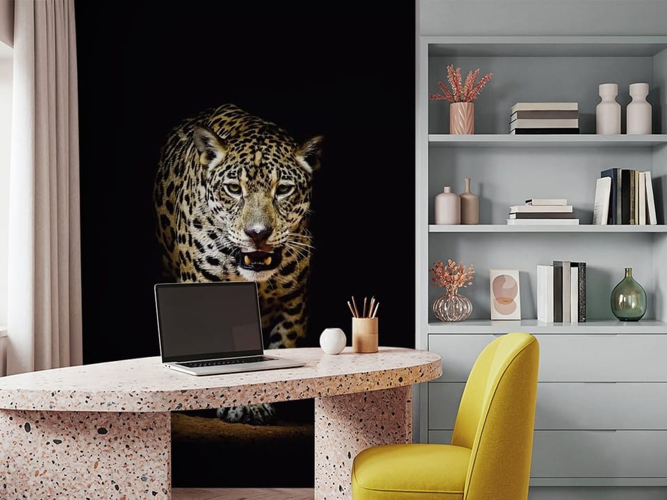 Fototapeta z jaguarem na ciemnym tle, oświetlony zwierzę, ziemia pod łapami - piękna inspiracja do biura