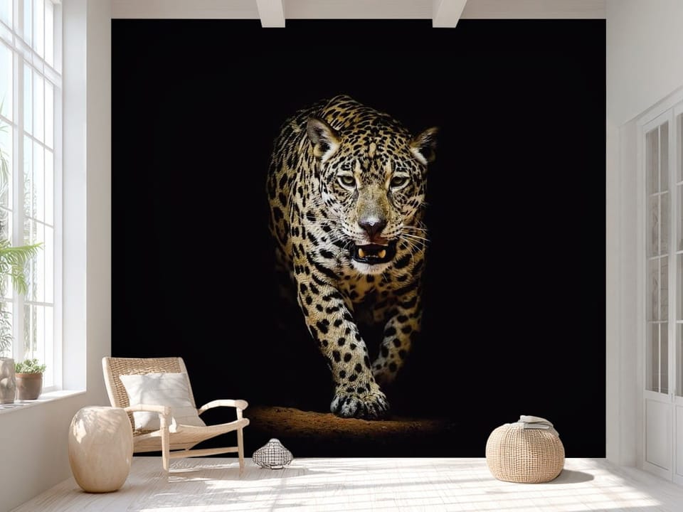 Fototapeta z jaguarem na ciemnym tle, oświetlony zwierzę, ziemia pod łapami - aranżacja minimalistycznego przedpokoju