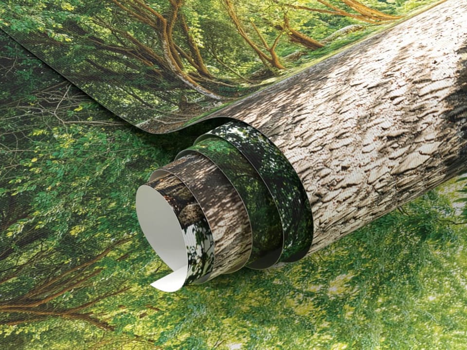 Fototapeta Poranny las z kamiennymi murami - realne zdjęcie w rolce