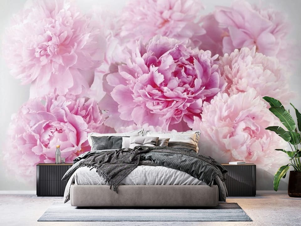 Fototapeta z bukietem różowych piwonii na białym tle - ściana w eleganskiej sypialni