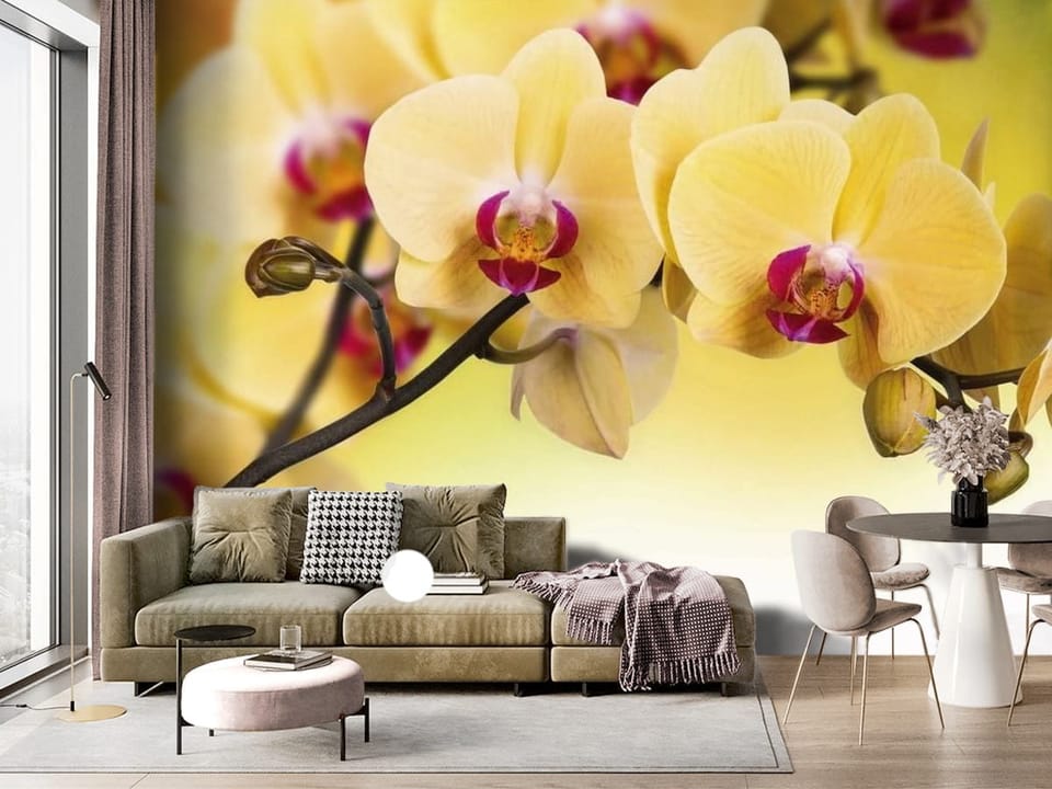 Fototapeta z żółtymi kwiatami orchidei na ciemnej gałązce - ściana akcentowa w salonie z dużym oknem