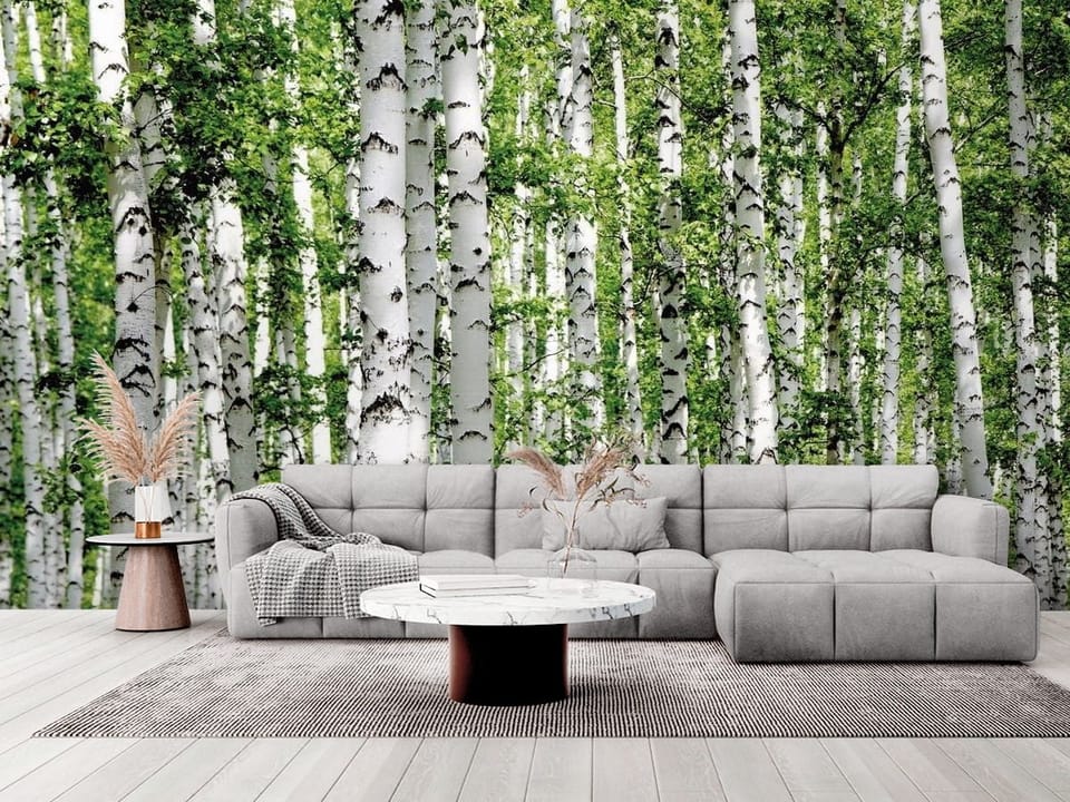 Fototapeta przedstawiająca las brzozowy z białymi pniami i zielonymi liśćmi. - elegancki salon w stylu minimalistycznym