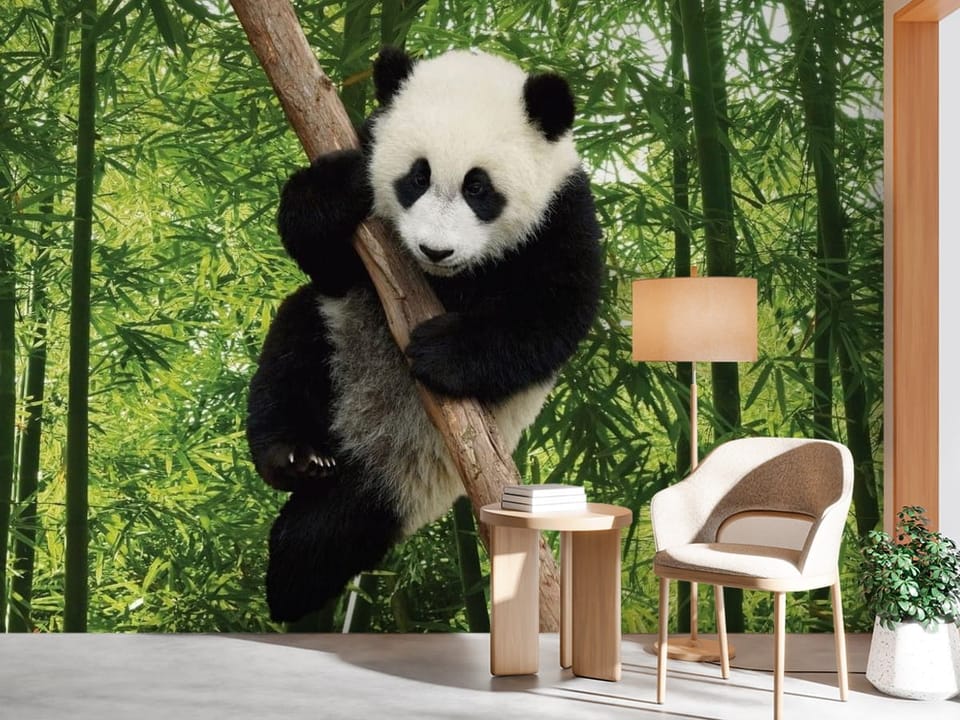 Fototapeta z pandą na drzewie bambusowym w gęstym lesie - minimalistyczny przedpokój w jasnych kolorach