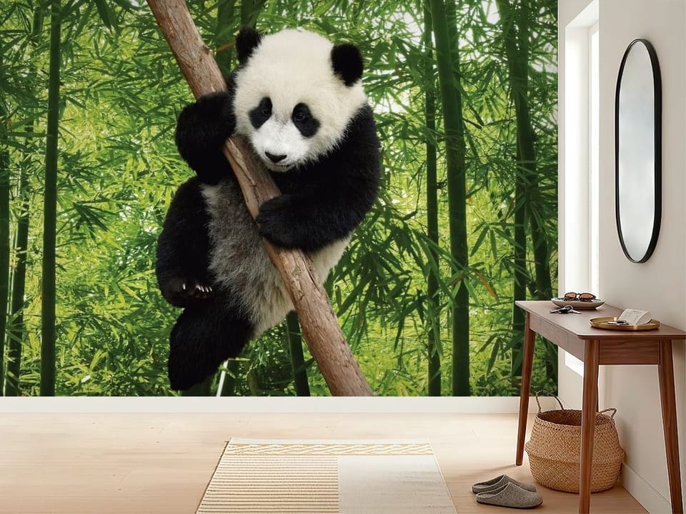 Fototapeta z pandą na drzewie bambusowym w gęstym lesie - inspiracji do minimalistycznego przedpokoju