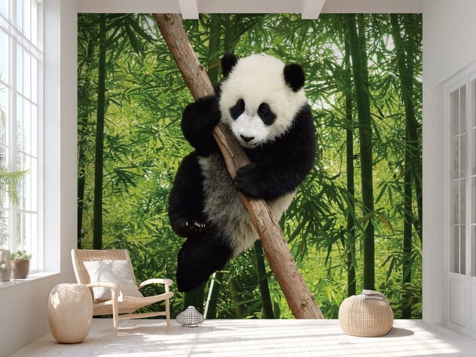 Fototapeta z pandą na drzewie bambusowym w gęstym lesie - aranżacja minimalistycznego przedpokoju
