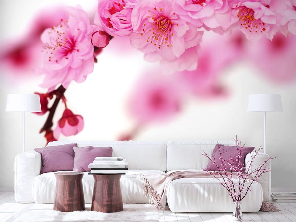 Fototapeta Sakura z różowymi kwiatami we wnętrzu salonu