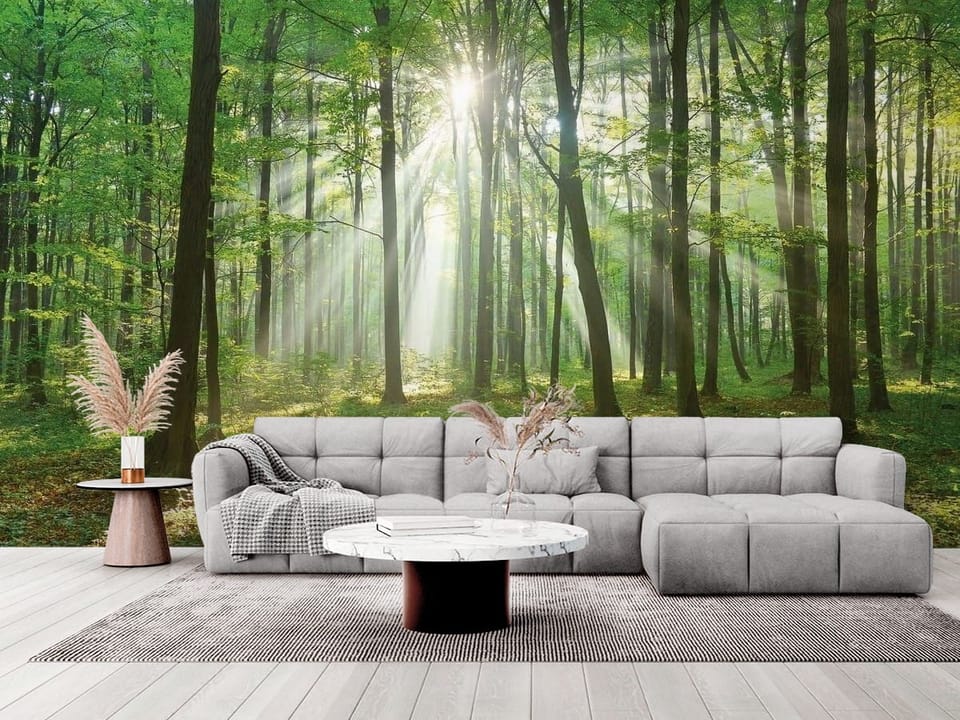 Fototapeta przedstawiająca las o świcie z promieniami słońca przenikającymi przez wysokie drzewa - elegancki salon w stylu minimalistycznym