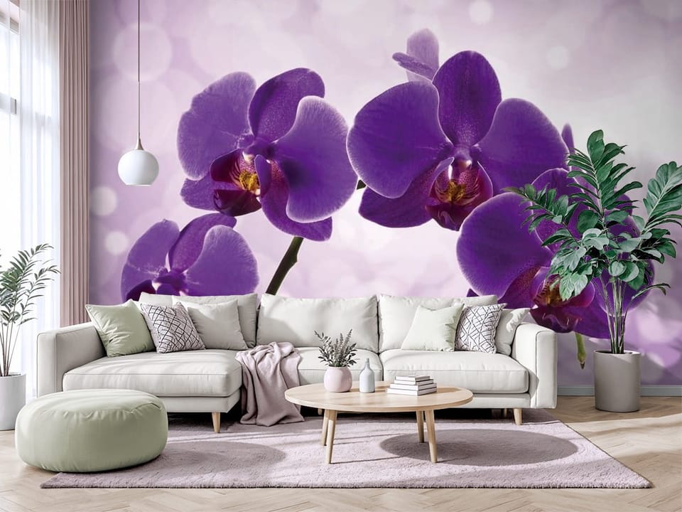 Fototapeta z fioletowymi kwiatami orchidei na rozmytym tle - salon w jasnych barwach z modnym akcentem